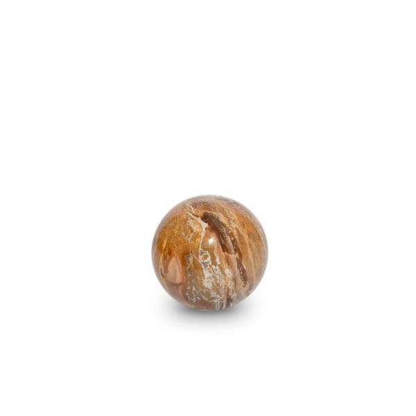 Petrified Wood Sphere stone, perfect for spiritual growth and calm.